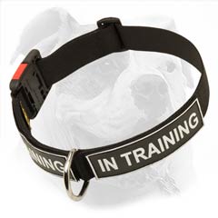 Nylon collar with easy quick release buckle