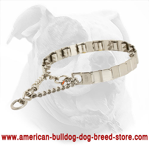 Neck Tech American Bulldog Collar
