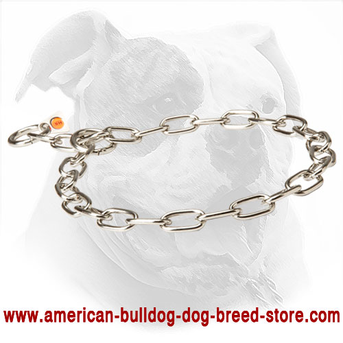  Solid Metal Collar for American Bulldog