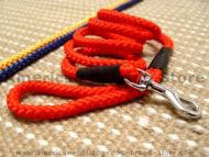 Cord nylon dog leash. Cord nylon dog leash.