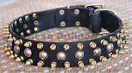 Three Rows with Leather brass Spikes and Studded big Dog Collar