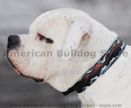 Hand painted by our artists leather dog collar brown-new