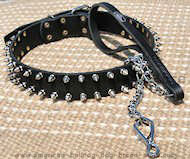 Best Spiked Dog Collar -S33+Exclusive nickel plated lead-L100HS