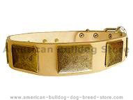 Handcrafted leather dog collar with vintage massive plates.