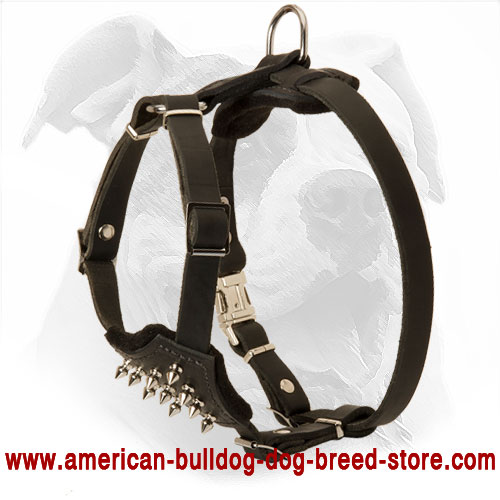 Leather Puppy Harness for American Bulldog