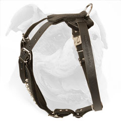 Adjustable leather harness for American Bulldog