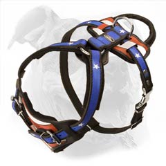 American Bulldog hand painted harness