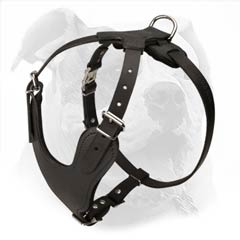 Strong and reliable dog harness