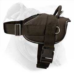Easy to put on and off harness due to convenient buckle