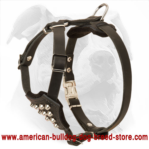 Leather American Bulldog Puppy Harness Decorated with Pyramids for Walking
