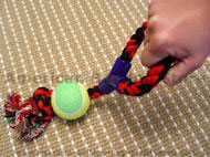 Fiber bone with ball and handle.