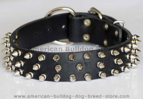 3 rows spiked dog collar
