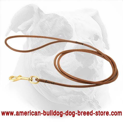 Elegant Round Leather for American Bulldog