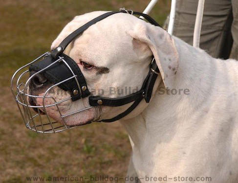 Basket Wire Dog Muzzle Light For American Bulldog