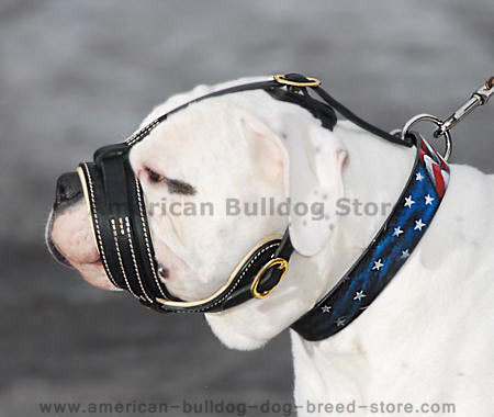 American Bulldog Royal Nappa Leather Dog Muzzle- Padded Muzzle