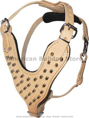 Bulldog padded spiked dog harness
