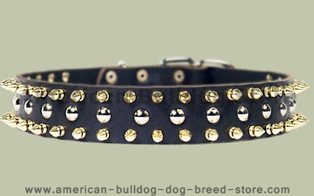 Black Leather Spiked Studded Dog Collar for American Bulldog
