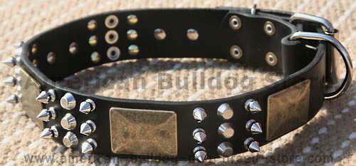 Gorgeous War Dog best Leather Collar-brass massive plates&spikes