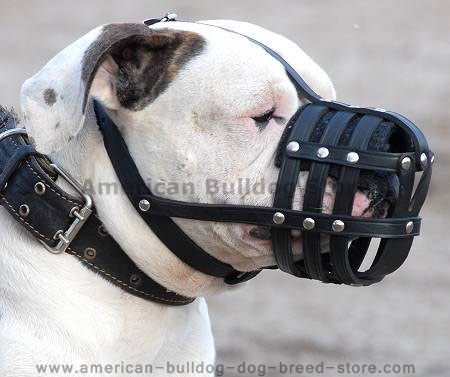 Everyday Light Weight Ventilation American Bulldog muzzle  M41