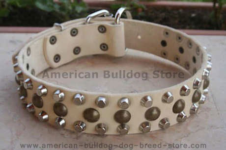 studs leather dog collar