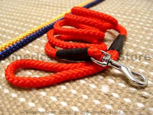 Cord nylon dog leash for American bulldog