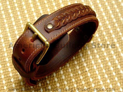 Handcrafted leather dog collar for American Bulldog