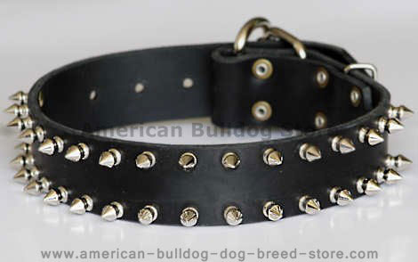 Leather spiked dog collar-2 Rows of spikes-large spiked collar - Click Image to Close
