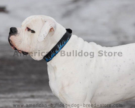 Hand painted by our artists leather dog collar - blue-FLAMES American bulldog