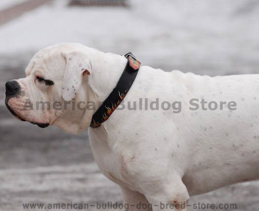 Hand painted by our artists leather dog collar - red-FLAMES - Click Image to Close