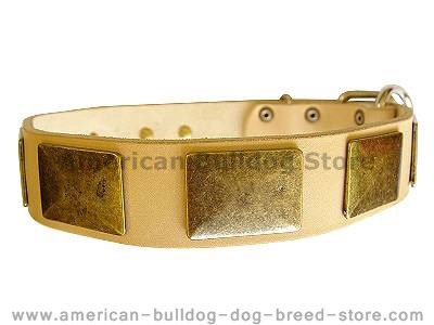 american bulldog handmade dog collar- leather dog collar