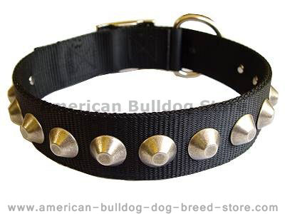 Gorgeous wide nylon dog collar with nickle pyramids  for American bulldog