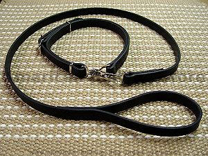 Police / hunting dog leash and  collar (combo)- Training collar for American bulldog 