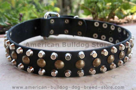 studs leather dog collar