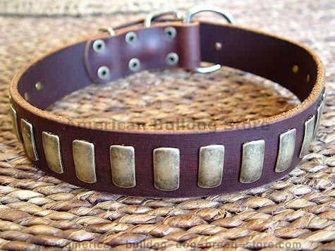 leather dog collar - big dog collar