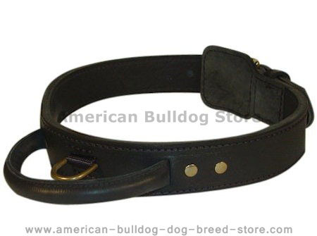 leather dog collar with handle for dogh training,tracking and more..