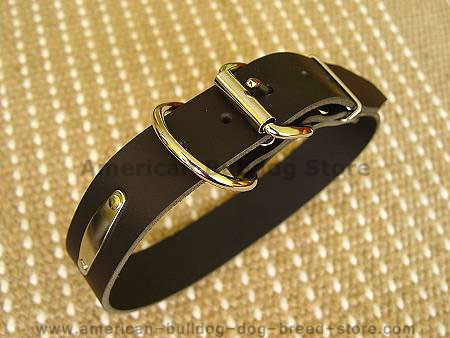 Leather dog collar with id tag. -  Dog collar with plate name for American bulldog