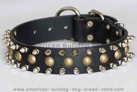 American bulldog studded dog collar with spikes