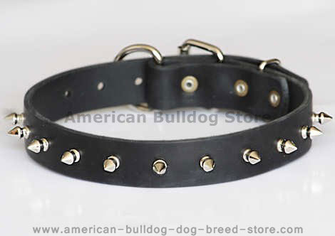 dog collar with spikes