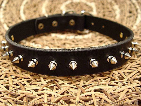 Leather spiked dog collar-1 Row of spikes