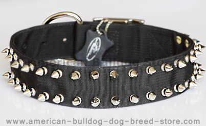 Black nylon spiked dog collar-2 Rows of spikes