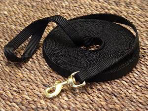 Nylon dog leash for training and tracking for American bulldog