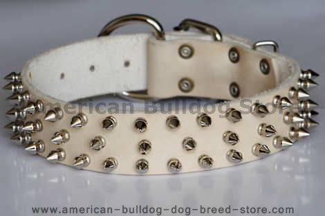 3 rows spiked dog collar
