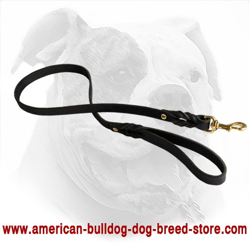 Training Leather American Bulldog Leash
