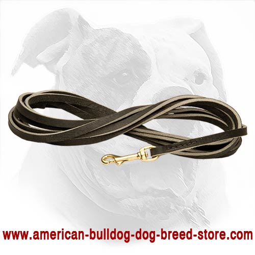 Best leash for training your Bulldog in hard working conditions