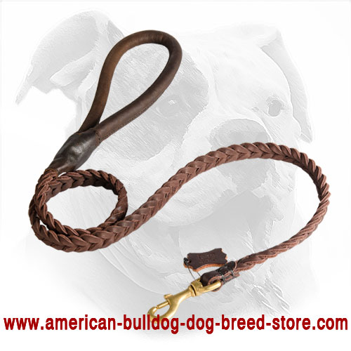 Decorated Leather American Bulldog Leash
