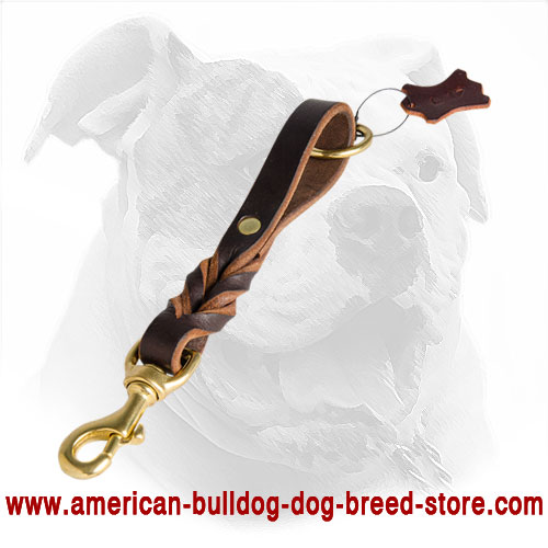 Decorated Short Leather American Bulldog Leash 