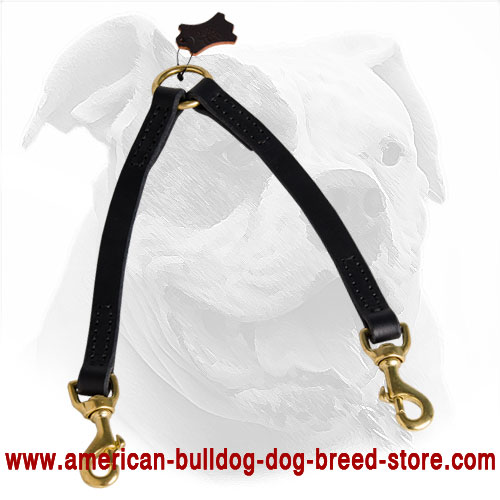 Leather American Bulldog Coupler 