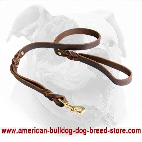 Decorated Leather American Bulldog Lead