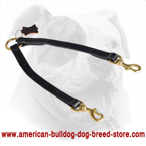 Leather American Bulldog Coupler