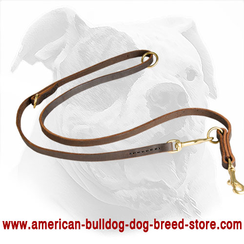 Multimode Leather American Bulldog Leash